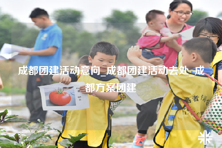 成都團建活動意向_成都團建活動去處_成都方案團建