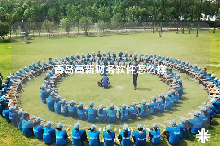 青島高新財務(wù)軟件怎么樣