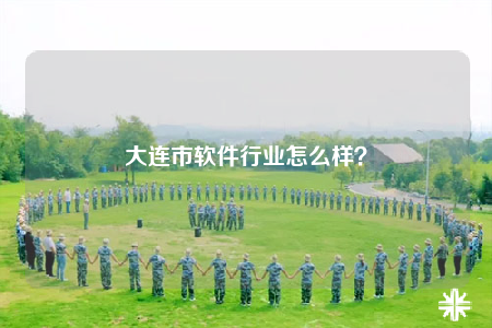 大連市軟件行業(yè)怎么樣？