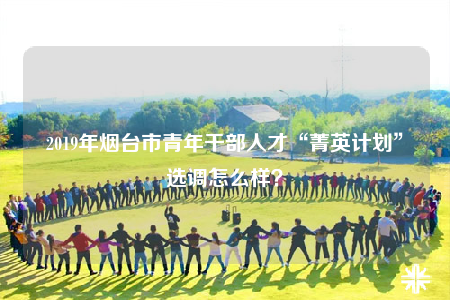 2019年煙臺市青年干部人才“菁英計(jì)劃”選調(diào)怎么樣？